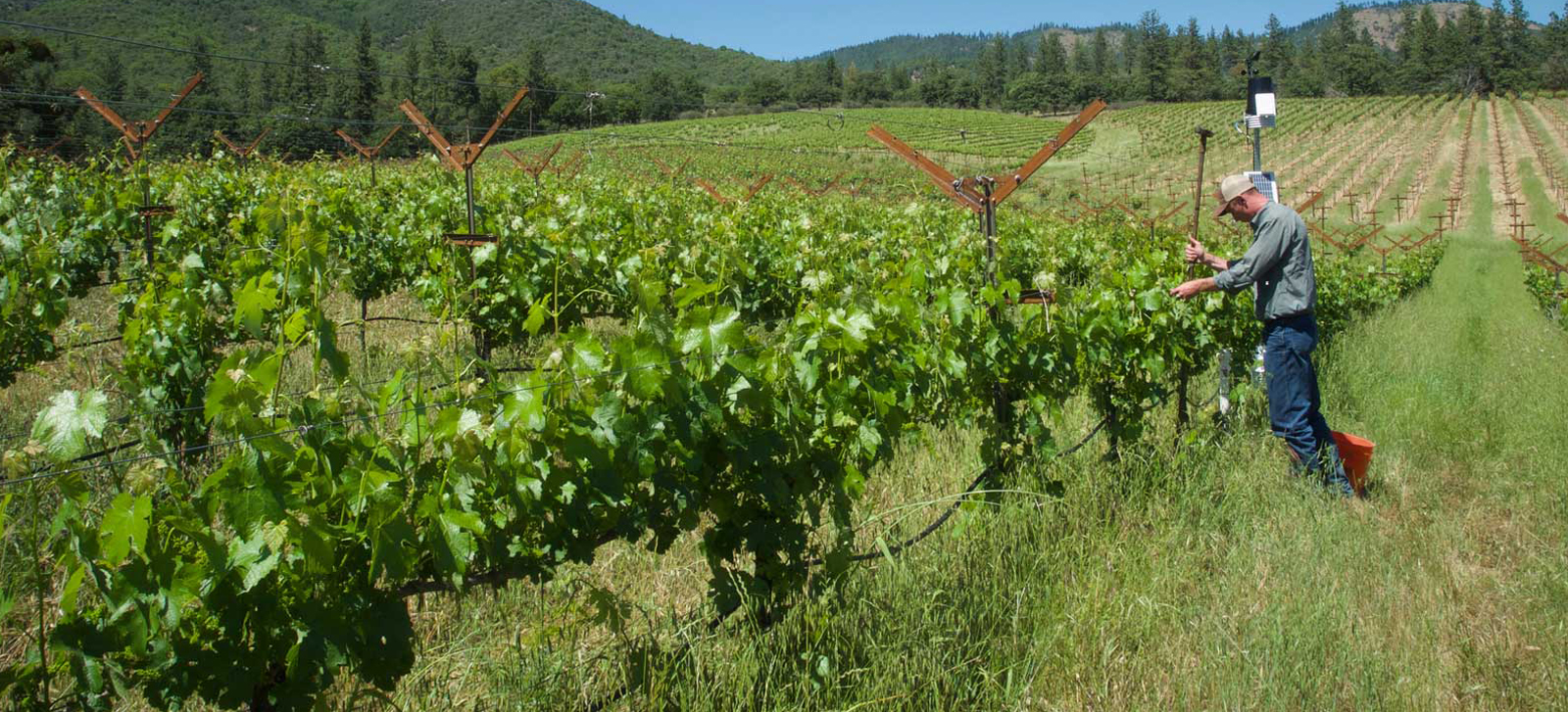 Jain Irrigation Systems Ltd.